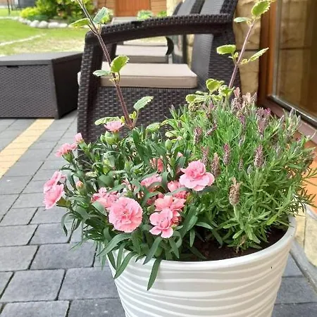 Pensión Goscinne Migiel Zakopane